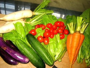 (C) Vnexpress, 塩川さんの栽培した有機野菜