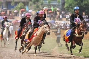 （C）  vietnam+,　モン族の「競馬祭り