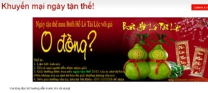 （Ｃ）Tieng Phong, 「ザボンの価格ゼロドン？」の広告