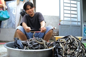（C）Tien phongヘビの皮剥ぎ作業