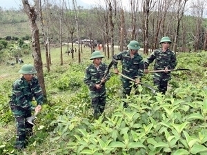 （Ｃ）vietnamplus, 地雷を探索する工作兵