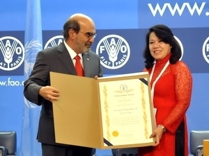 （C）  Vietnampuls,　べtトナム代表として表彰状を受け取るグエン・ティ・スアン保健次官（写真右）