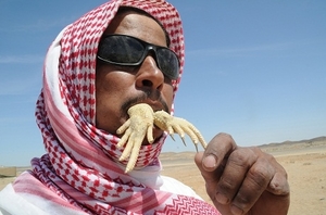 （C）Dan Tri, トカゲを食べるアラブ人