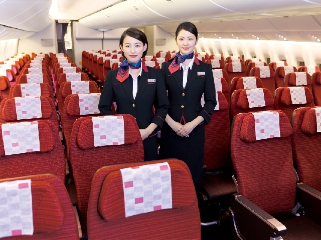(C) JAL 「JAL SKY SUITE767」エコノミークラス