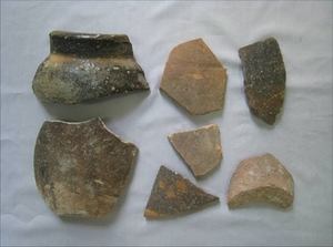 (C) vov 大チュオンサ島で発見された遺物
