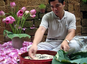 (C) vietnamnet お茶の葉と混ぜて熟成させる