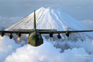 (C) 航空自衛隊、C-130H