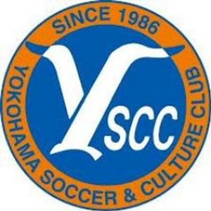 (C)　YSCC