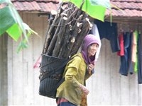 (C) Saigontimes, Sơn Ngh??a