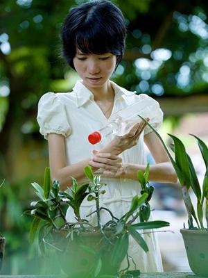 (C) Tien phong, Ho Huy Son