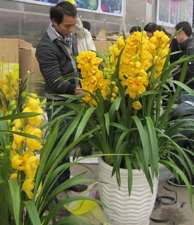 （C）Vietnamnet