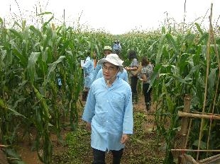 (C)Nong nghiep Viet Nam