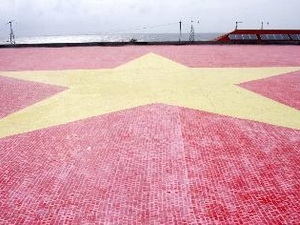 (C) Vietnamplus