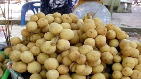 (C) Vietnamnet