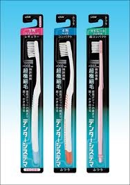 （C） ライオン