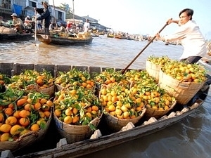 (C)Vietnam plus