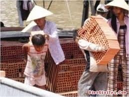 (C) vietgiaitri.com