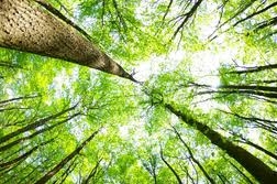 (C) unep.org