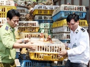 (C)Trần Việt/TTXVN, 密輸鶏肉を破棄
