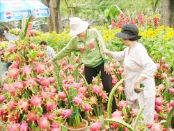 （Ｃ）traicaynongsan.vn