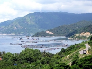 (C)Vietnamplus, ブンロー