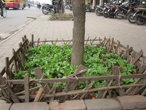 （Ｃ）Vietnamnet