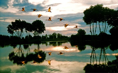 （Ｃ）camautravel, カマウ岬国立公園