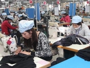 (C)Vietnam plus,Tran Viet