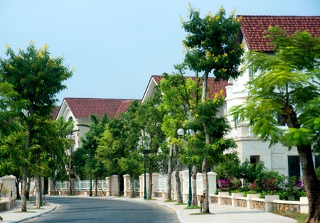 (C)Ha noi moi
