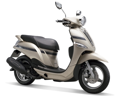 (C) Vnexpress, Nozza Limited Edition