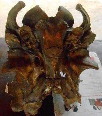 (C)Lao Dong, 発見された頭蓋骨
