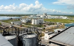 （C）VN Economy