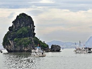 （C）  Vietnamplus
