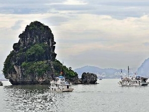 (C) Vietnampuls