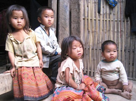 (C) giaothongvantai