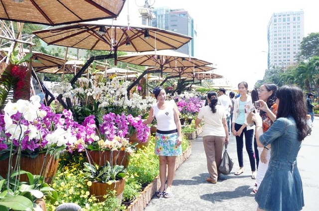 (C) saigontimes