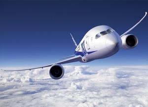 (C) ANA, B787