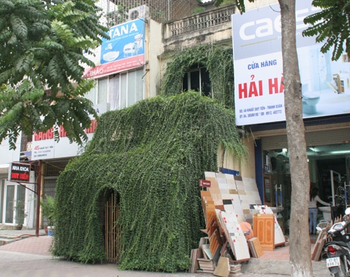（C）  vietnamnet,　森の家