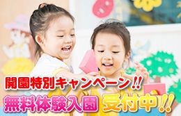 （C）  ひまわり幼稚園