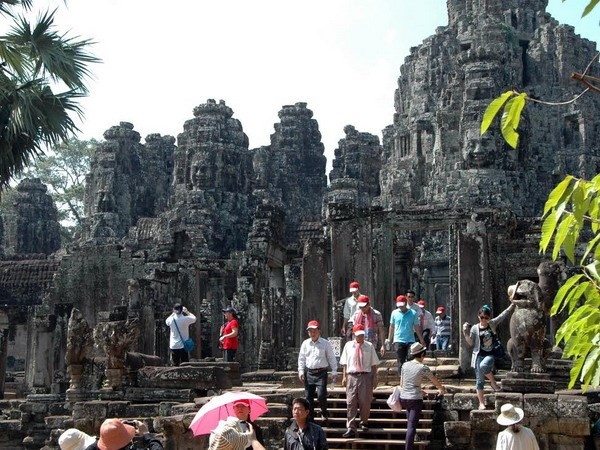 （C）  vietnam+