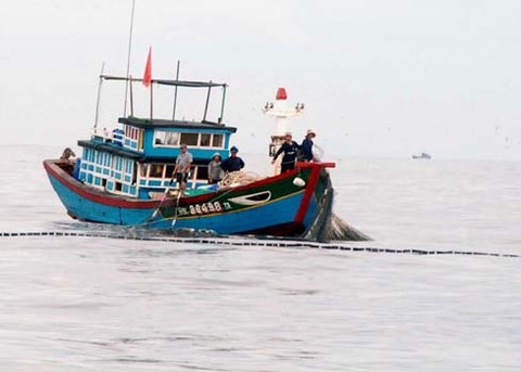 （C）VnExpress,Tri Tin