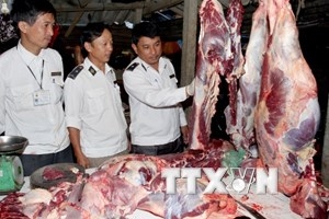 (C)Vietnam plus,Dinh Hue