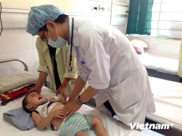 （C）  vietnam+