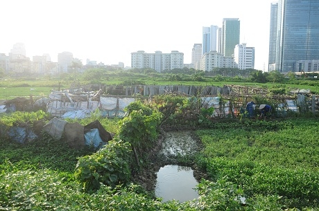 (C) dantri 更地のままの建設予定地
