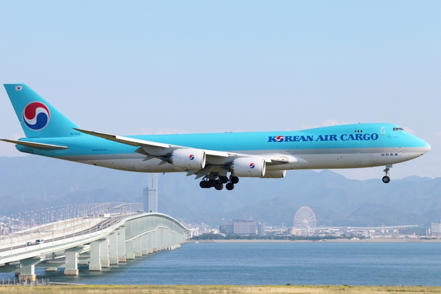 (C) flyteam