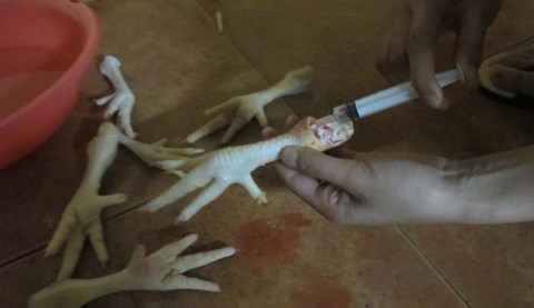 (C) vietnamnet