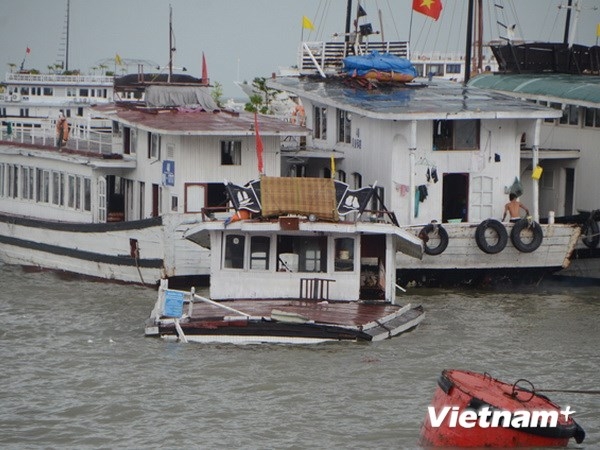 (C) vietnamplus