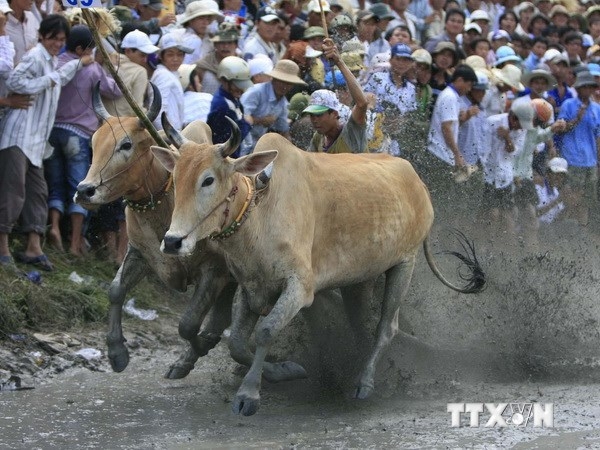 (C) vietnamplus