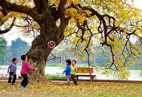 (C) vnexpress, ハノイ