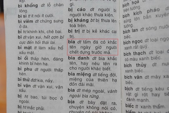 (C) nld